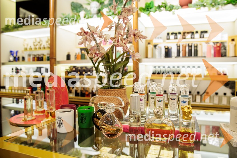 Goldfield & Banks v Ikoni: predstavitev nove dišave Tales of Amber