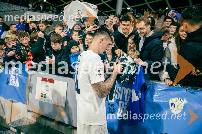 Slovenija – Švica, kvalifikacijska tekma v Stožicah