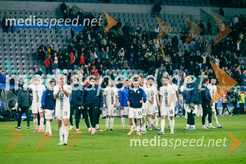 Slovenija – Švica, kvalifikacijska tekma v Stožicah