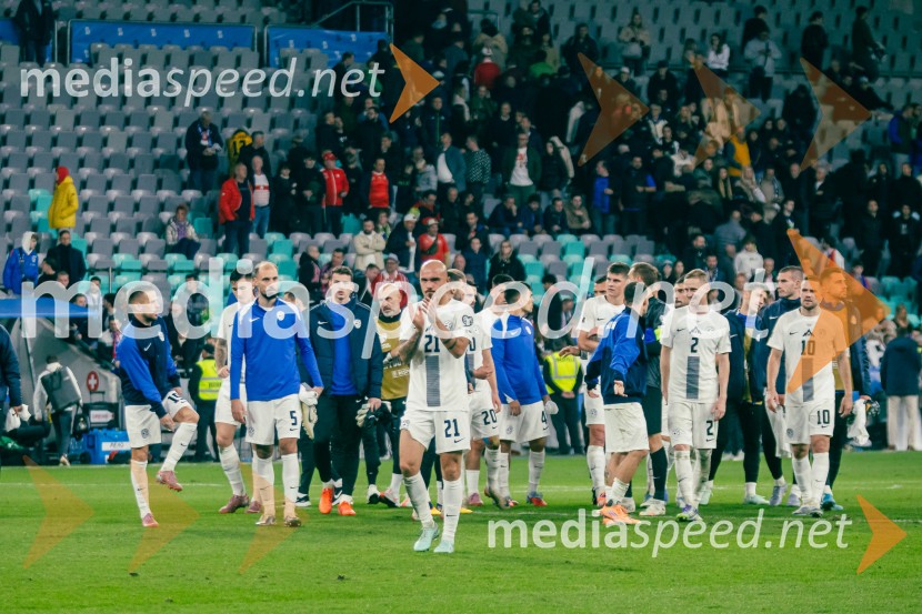 Slovenija – Švica, kvalifikacijska tekma v Stožicah