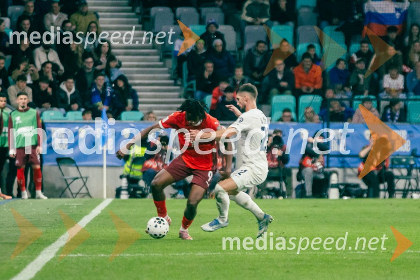 Slovenija – Švica, kvalifikacijska tekma v Stožicah