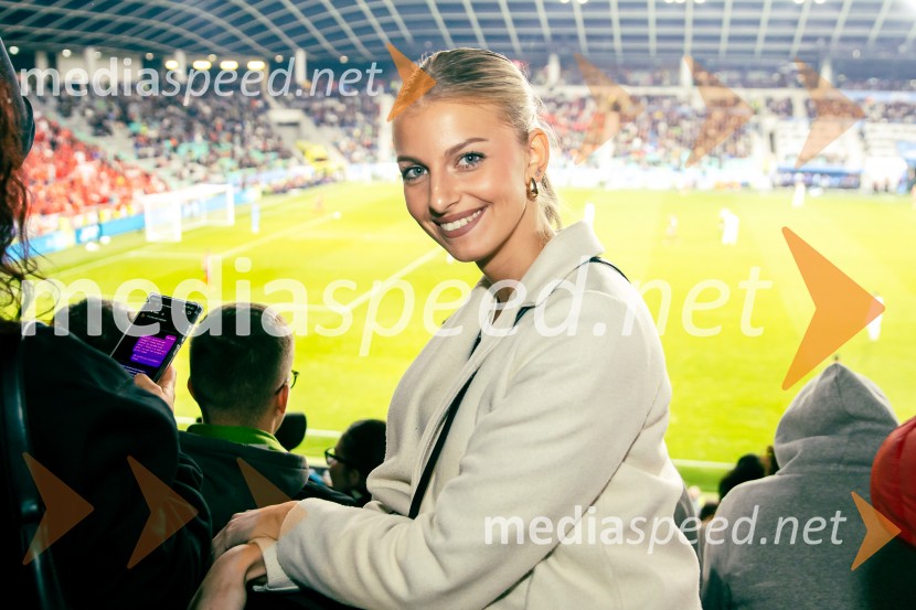 Slovenija – Švica, kvalifikacijska tekma v Stožicah