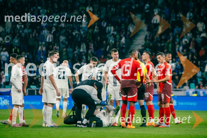 Slovenija – Švica, kvalifikacijska tekma v Stožicah