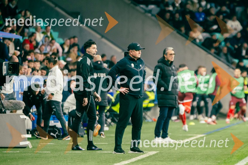 Slovenija – Švica, kvalifikacijska tekma v Stožicah