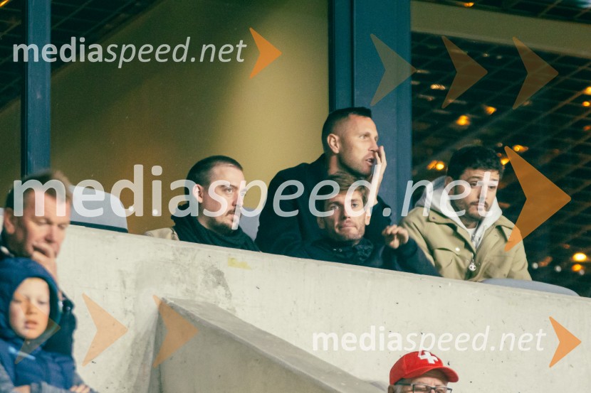 Slovenija – Švica, kvalifikacijska tekma v Stožicah