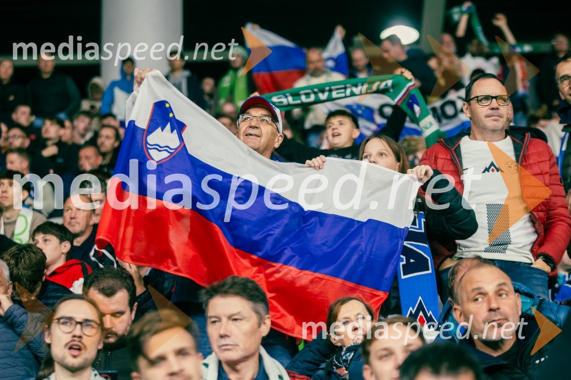 Slovenija – Švica, kvalifikacijska tekma v Stožicah