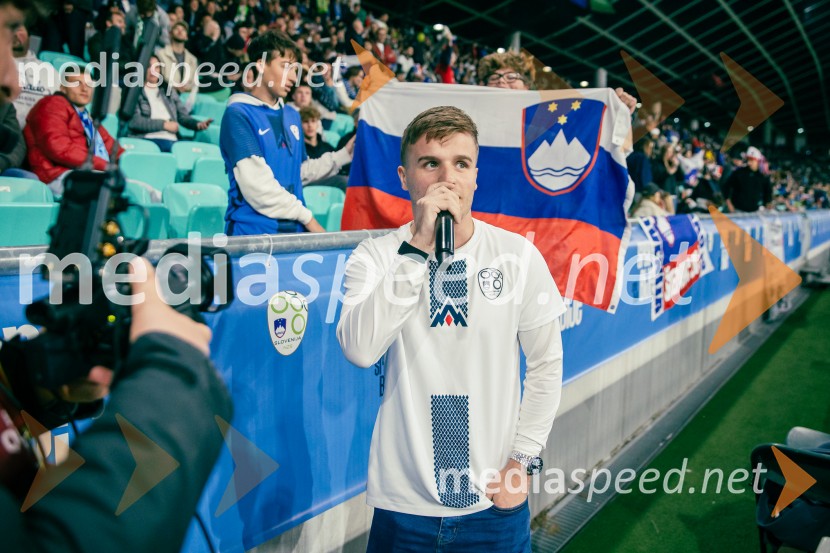 Slovenija – Švica, kvalifikacijska tekma v Stožicah