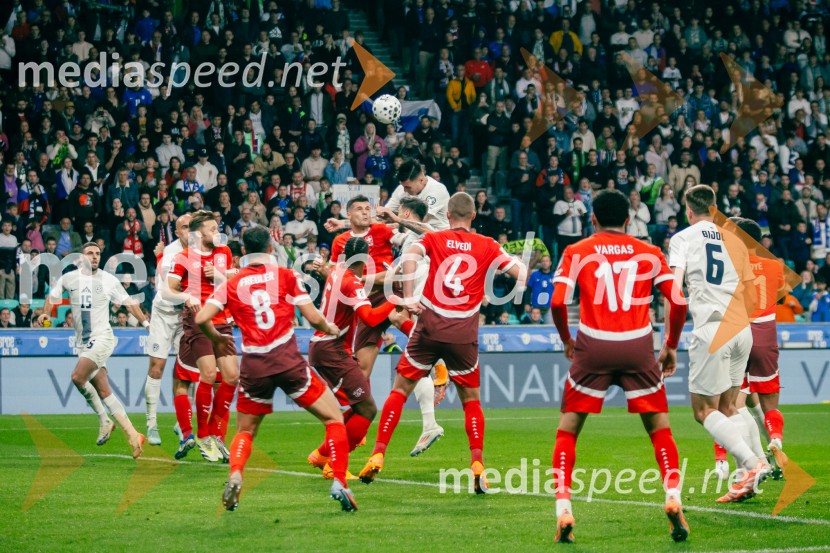 Slovenija – Švica, kvalifikacijska tekma v Stožicah