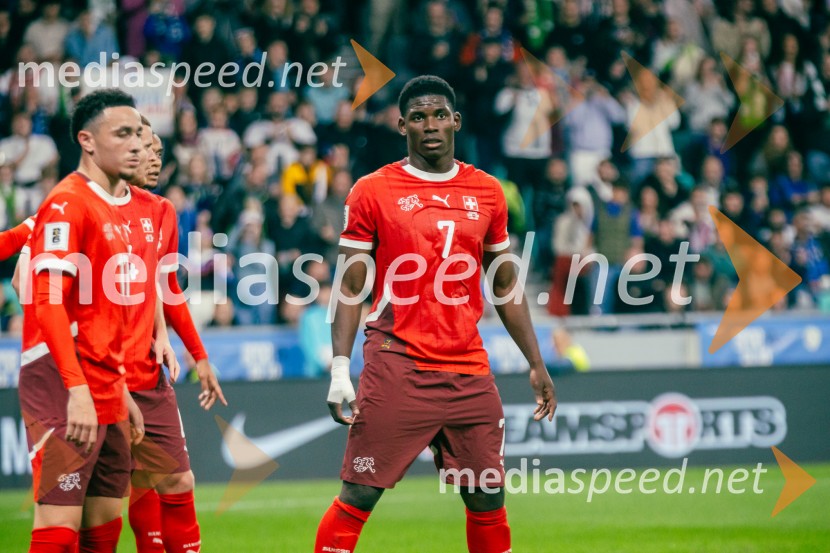 Slovenija – Švica, kvalifikacijska tekma v Stožicah