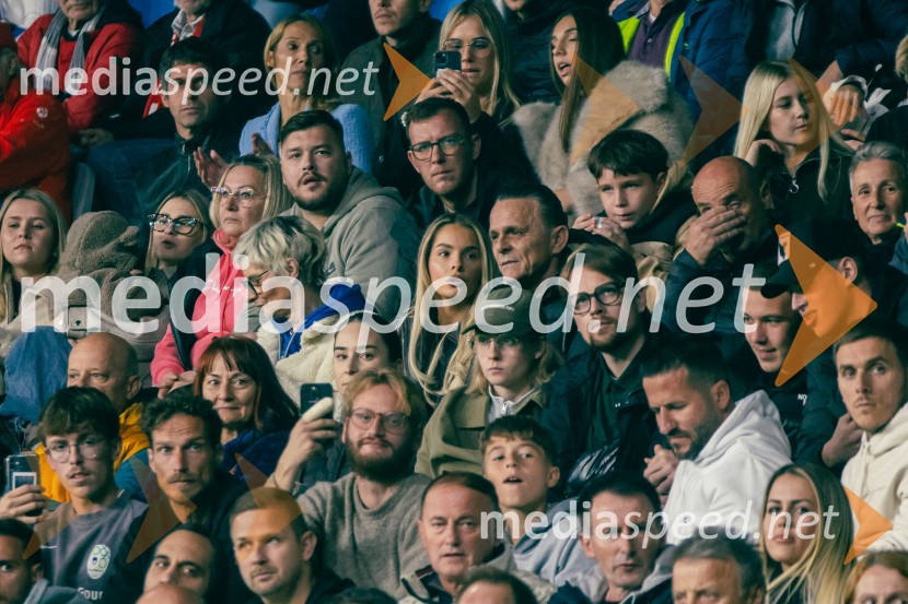 Slovenija – Švica, kvalifikacijska tekma v Stožicah