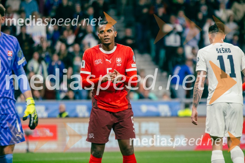 Slovenija – Švica, kvalifikacijska tekma v Stožicah