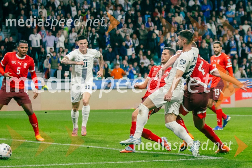 Slovenija – Švica, kvalifikacijska tekma v Stožicah