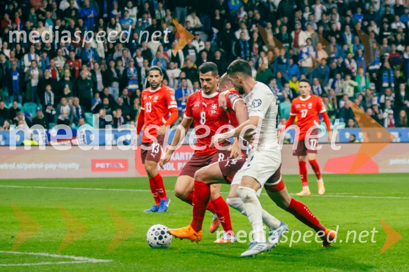 Slovenija – Švica, kvalifikacijska tekma v Stožicah