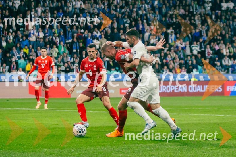 Slovenija – Švica, kvalifikacijska tekma v Stožicah