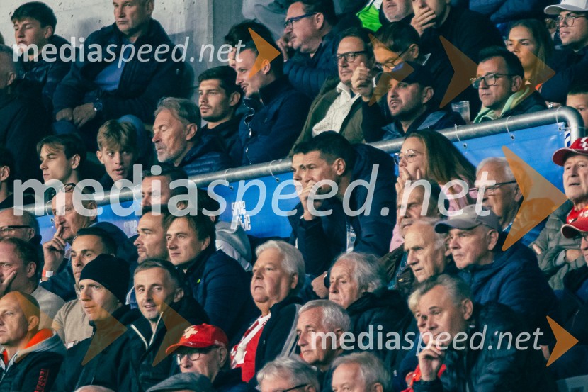 Slovenija – Švica, kvalifikacijska tekma v Stožicah