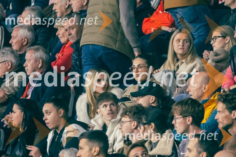 Slovenija – Švica, kvalifikacijska tekma v Stožicah