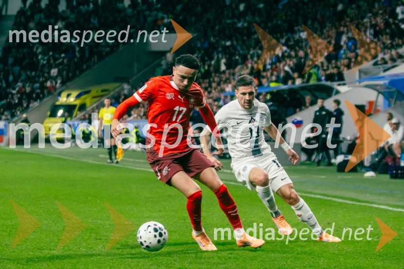 Slovenija – Švica, kvalifikacijska tekma v Stožicah