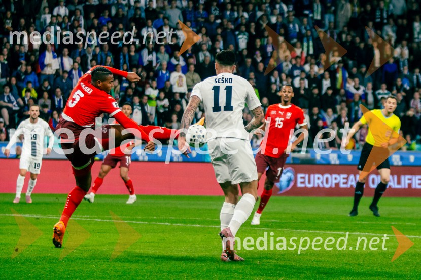 Slovenija – Švica, kvalifikacijska tekma v Stožicah