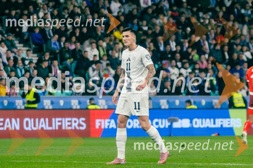 Slovenija – Švica, kvalifikacijska tekma v Stožicah