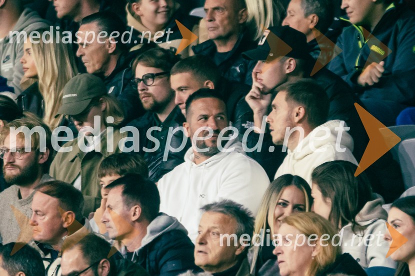 Slovenija – Švica, kvalifikacijska tekma v Stožicah