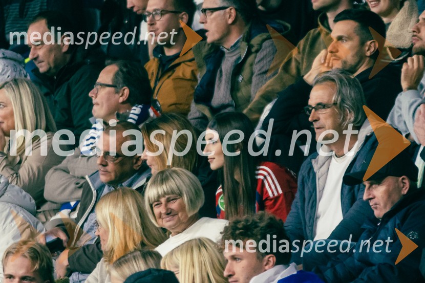 Slovenija – Švica, kvalifikacijska tekma v Stožicah