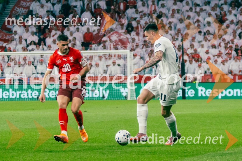 Slovenija – Švica, kvalifikacijska tekma v Stožicah