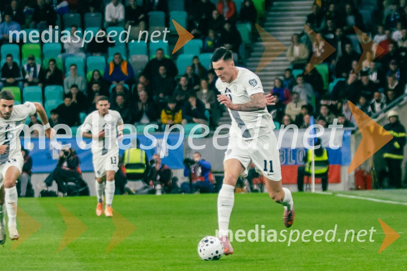 Slovenija – Švica, kvalifikacijska tekma v Stožicah