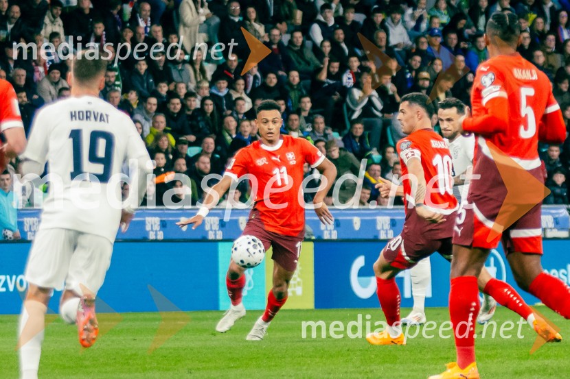 Slovenija – Švica, kvalifikacijska tekma v Stožicah