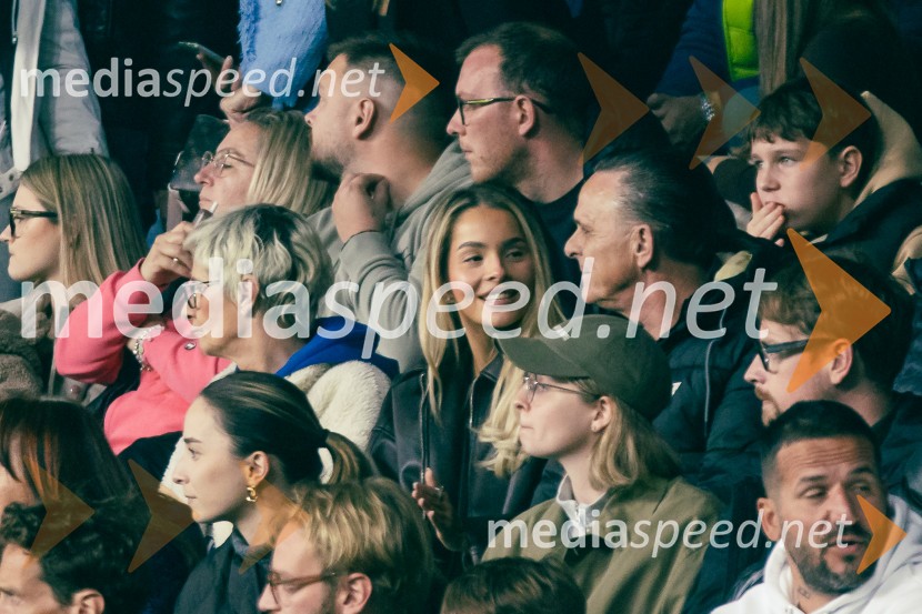 Slovenija – Švica, kvalifikacijska tekma v Stožicah