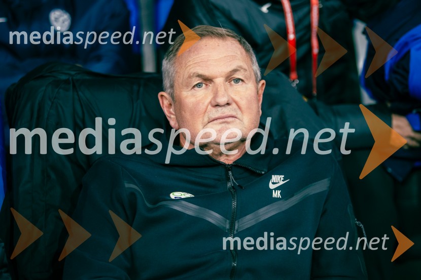 Slovenija – Švica, kvalifikacijska tekma v Stožicah