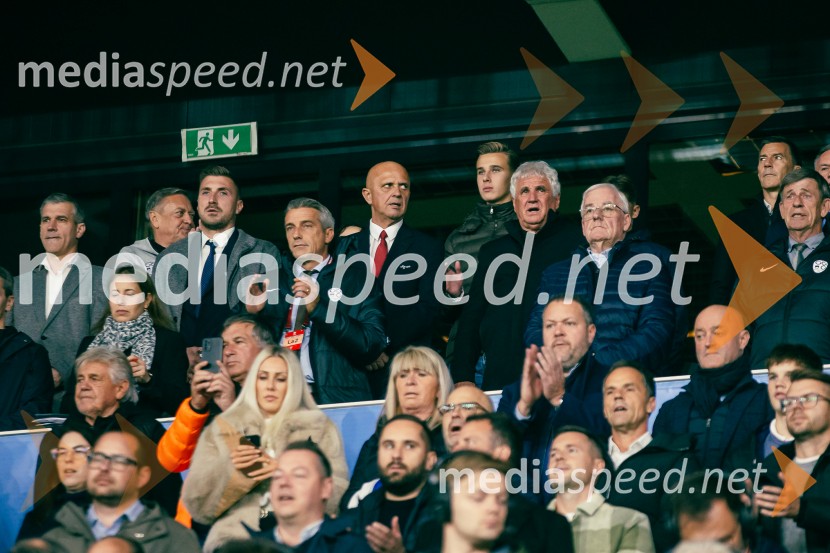 Slovenija – Švica, kvalifikacijska tekma v Stožicah