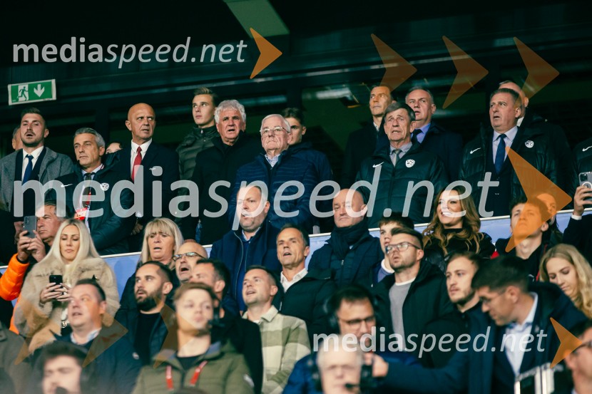 Slovenija – Švica, kvalifikacijska tekma v Stožicah