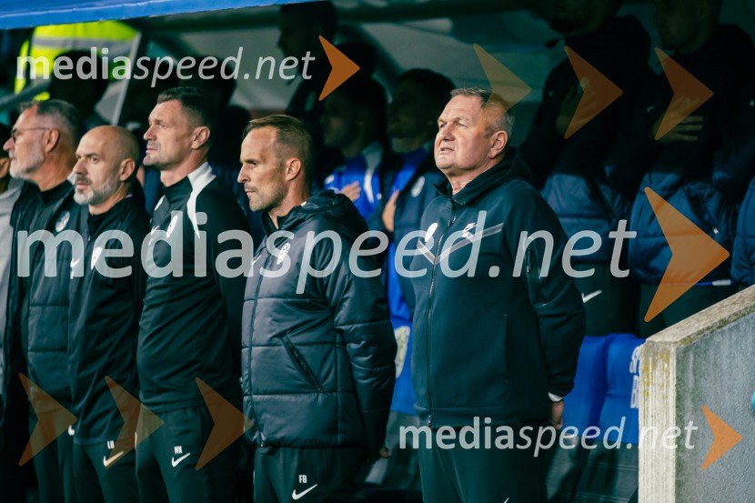 Slovenija – Švica, kvalifikacijska tekma v Stožicah