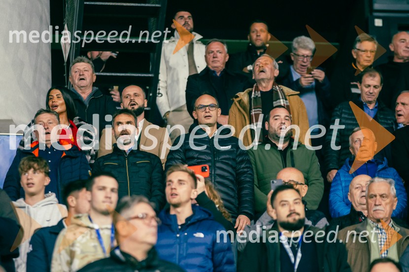 Slovenija – Švica, kvalifikacijska tekma v Stožicah