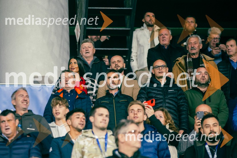 Slovenija – Švica, kvalifikacijska tekma v Stožicah