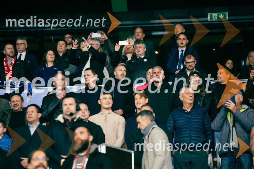 Slovenija – Švica, kvalifikacijska tekma v Stožicah