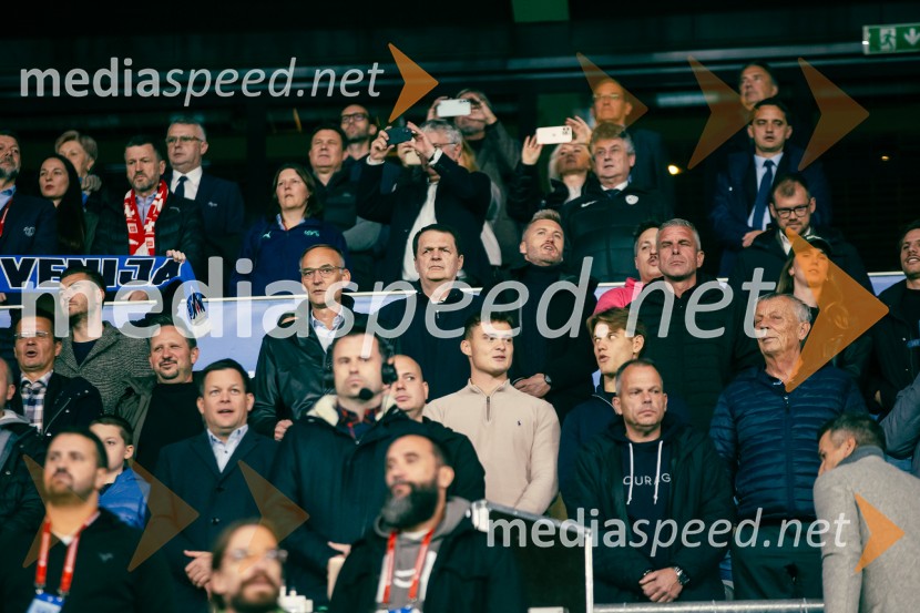 Slovenija – Švica, kvalifikacijska tekma v Stožicah