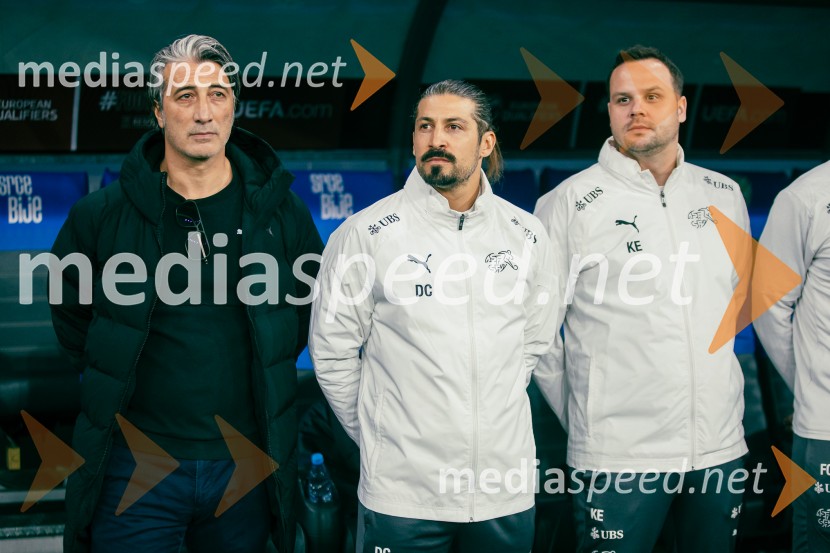 Slovenija – Švica, kvalifikacijska tekma v Stožicah