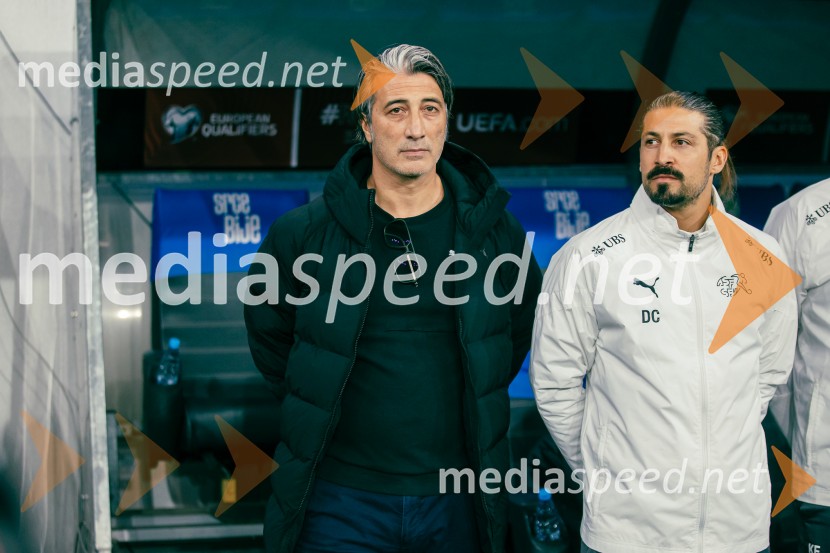 Slovenija – Švica, kvalifikacijska tekma v Stožicah