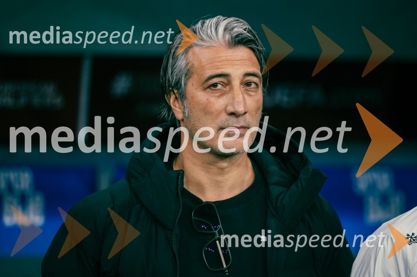 Slovenija – Švica, kvalifikacijska tekma v Stožicah