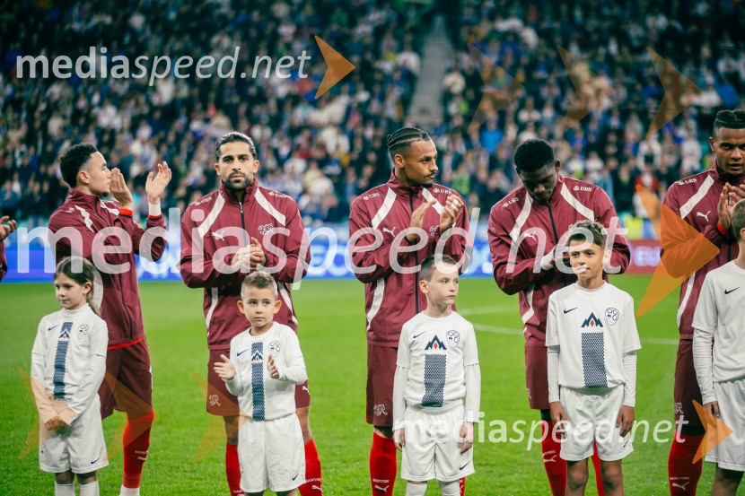 Slovenija – Švica, kvalifikacijska tekma v Stožicah