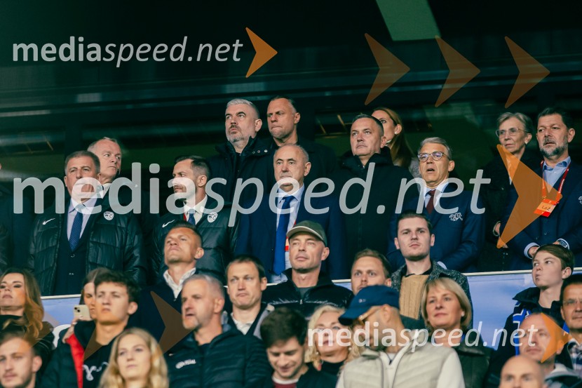 Slovenija – Švica, kvalifikacijska tekma v Stožicah