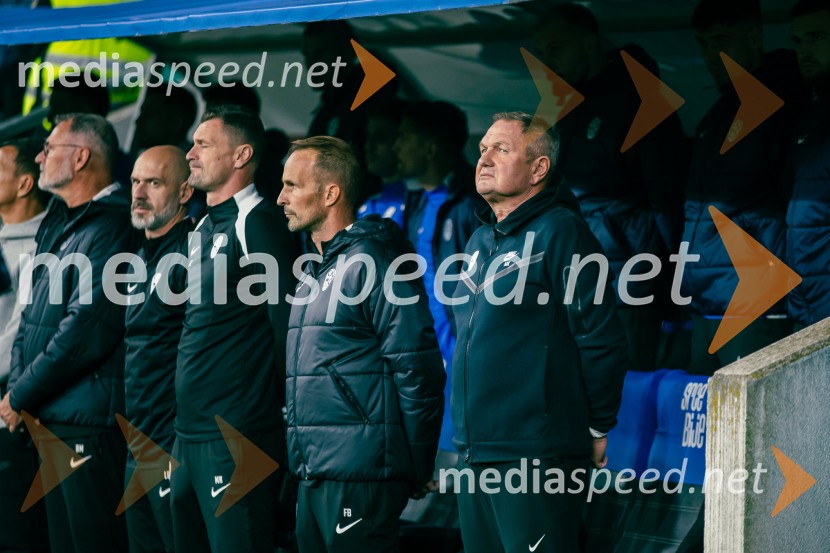 Slovenija – Švica, kvalifikacijska tekma v Stožicah