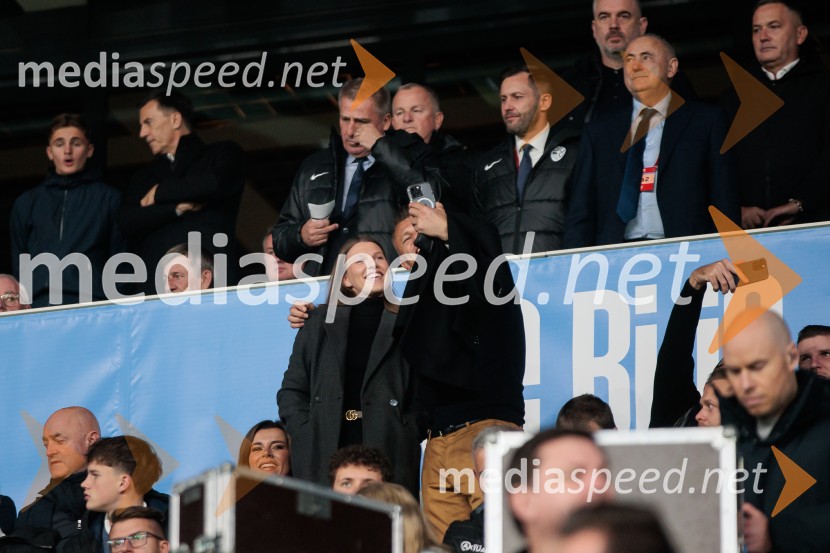 Slovenija – Švica, kvalifikacijska tekma v Stožicah