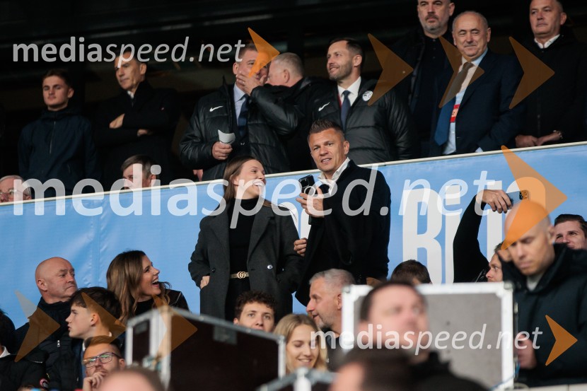 Slovenija – Švica, kvalifikacijska tekma v Stožicah