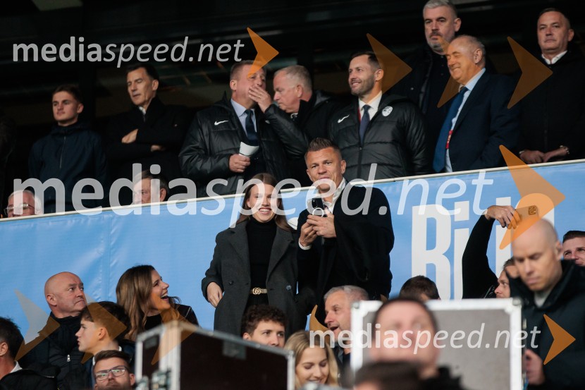 Slovenija – Švica, kvalifikacijska tekma v Stožicah