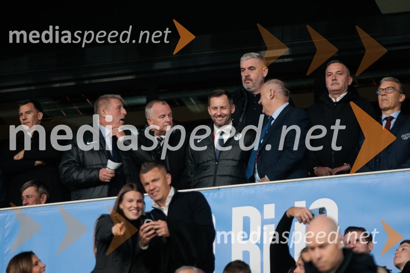 Slovenija – Švica, kvalifikacijska tekma v Stožicah