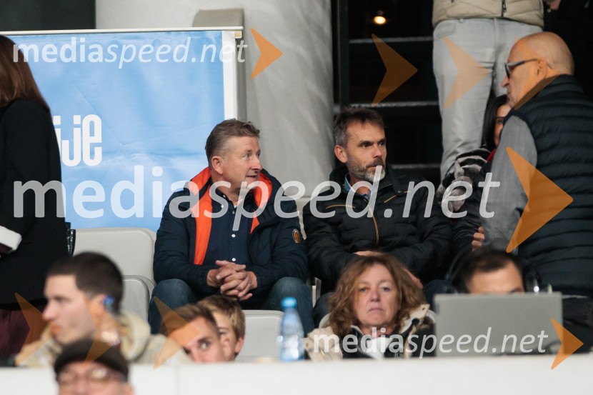 Slovenija – Švica, kvalifikacijska tekma v Stožicah