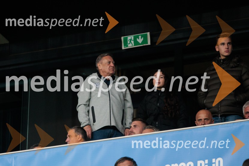 Slovenija – Švica, kvalifikacijska tekma v Stožicah