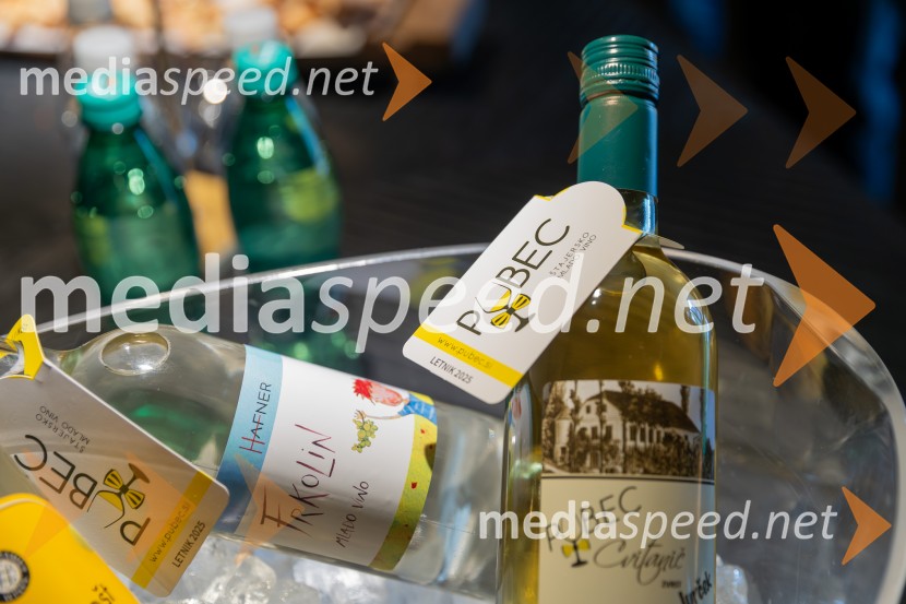 PRIHAJA PUBEC 2025: 11 let povezovanja štajerskih vinarjev – 10. salon v Mariboru, 8. v Ljubljani